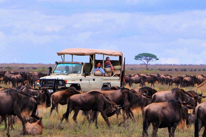 6 Days Masai Mara Wildebeest Migration Safari Holiday