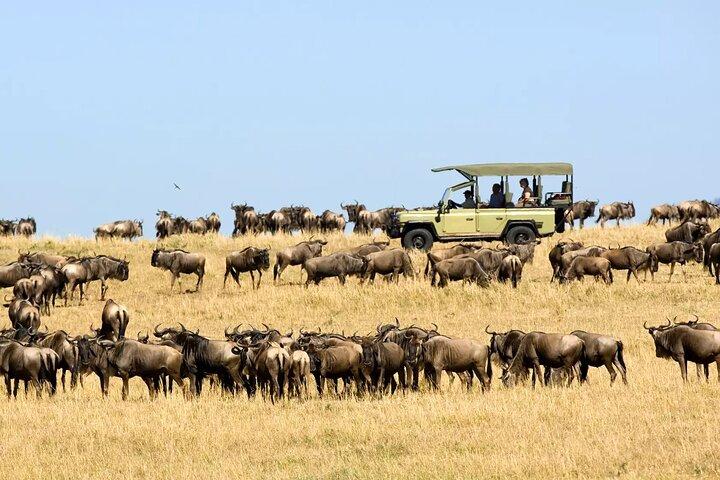 6 Days Masai Mara Wildebeest Migration Safari Holiday