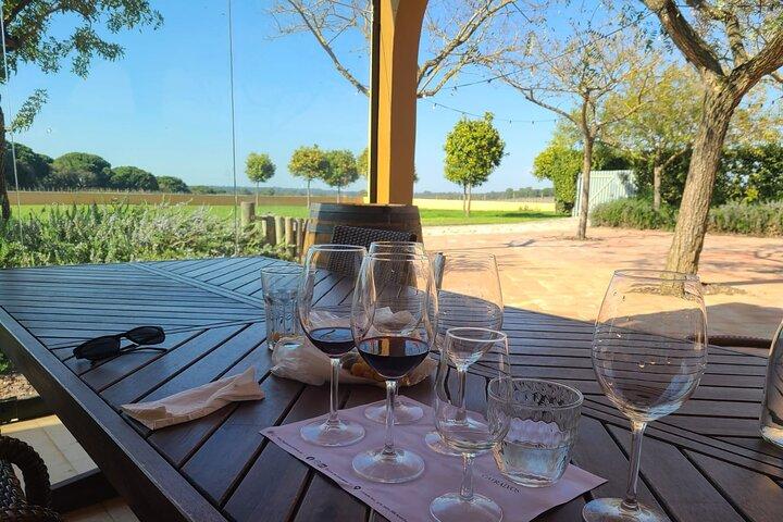 Lissabon Weintour: Azeitao, Setubal und Arrabida und Hotelabholung