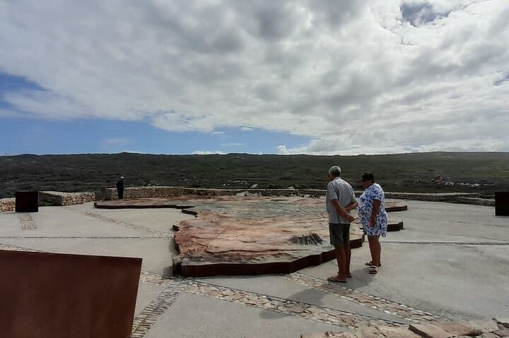 Cape Agulhas, Hermanus Whale Watching, Penguins and Wine Tasting