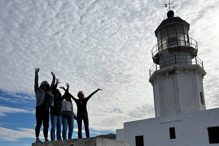 Privat Mykonos stad och ön höjdpunkter
