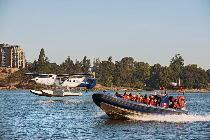 Vancouver↔Victoria Day Trip by Seaplane + Whale Watching by Boat