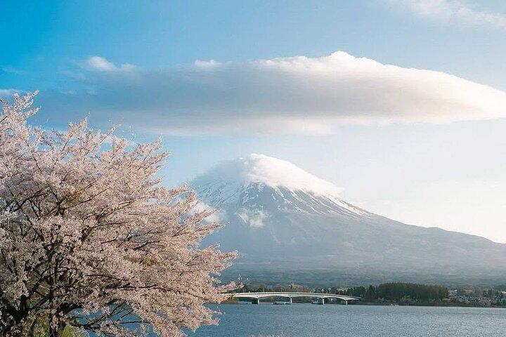 Mt Fuji & Hakone tilpasselig privat tur med Engelsk chauffør