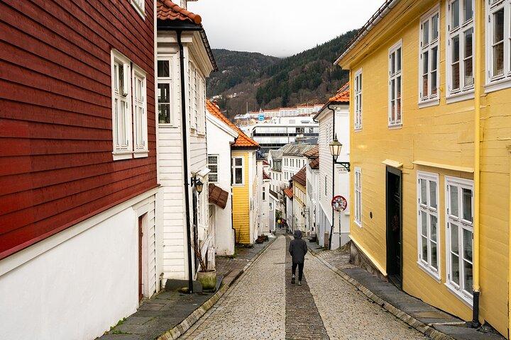 ノルデンス：ベルゲンの隠れた宝石ウォーキングツアー
