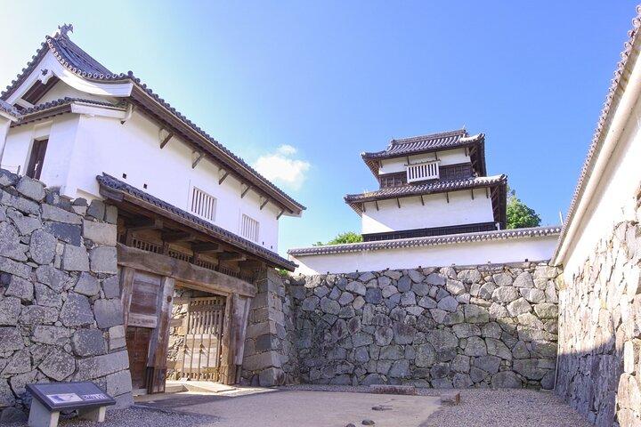 Fukuoka: Castello di Fukuoka e Ohori Park Tour Guidato
