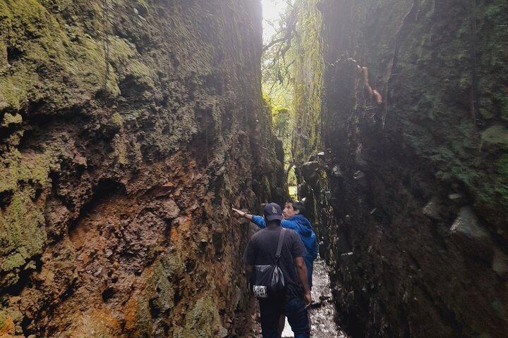 Sendero de bosque nublado y tirolina del volcán Mombacho