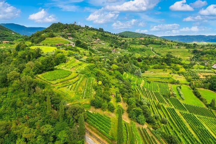 Franciacorta Wine Tasting Tour from Milan with Lake Iseo Cruise
