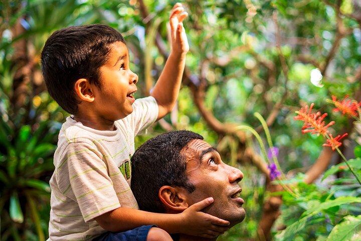 California Academy of Sciences General Admission Ticket