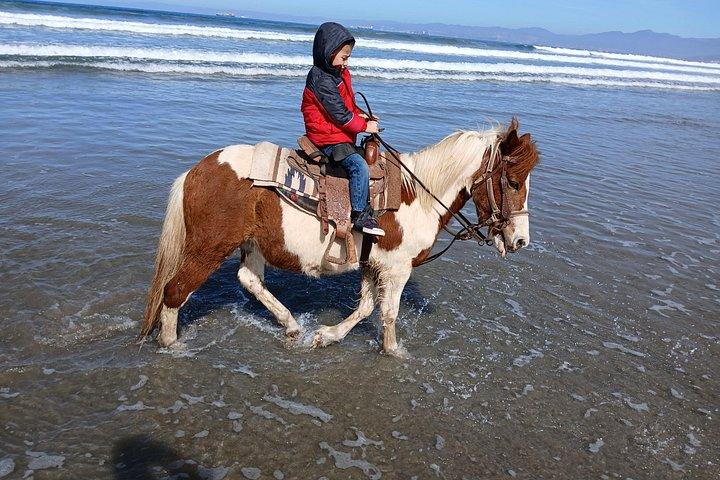 Ridning på stranden fra Ensenada