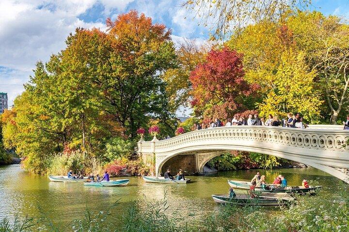 Central Park Private Tour