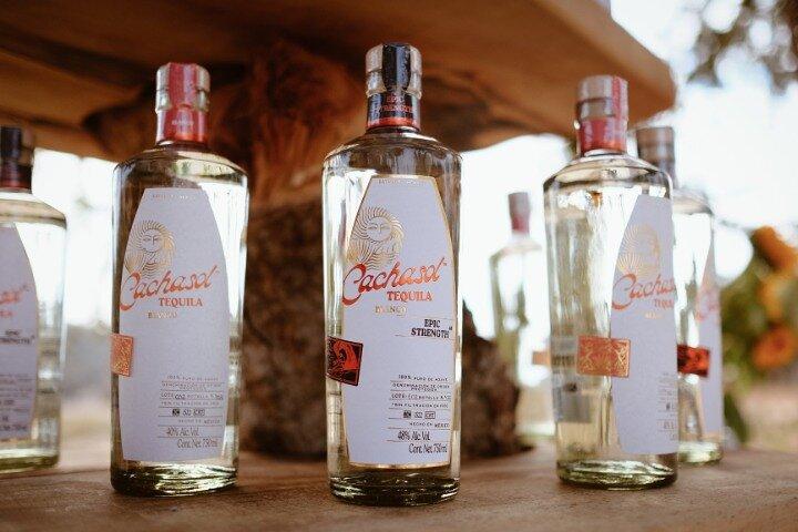 Cachasol Tequila Verkostung & Raicilla Destillerie Tour