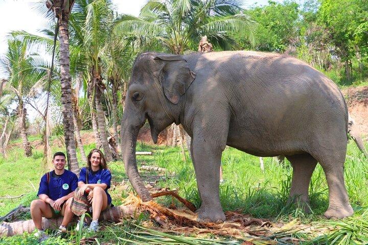 Living Green Elephant Sanctuary Tour von Bangkok und Pattaya