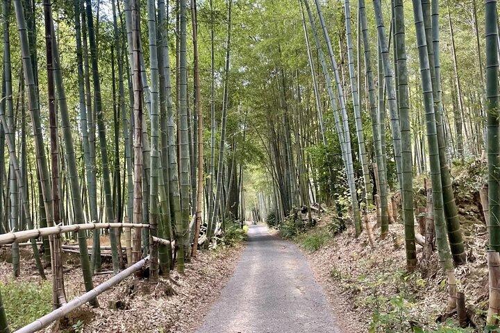 Verborgene Geheimnisse von Fushimi Inari: Bambuspfade und Sake Village