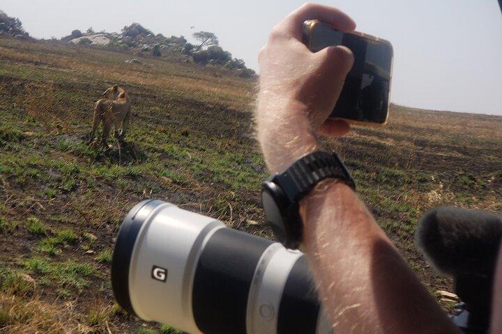 3 Dagen Ngorongoro Krater en Serengeti Safari.