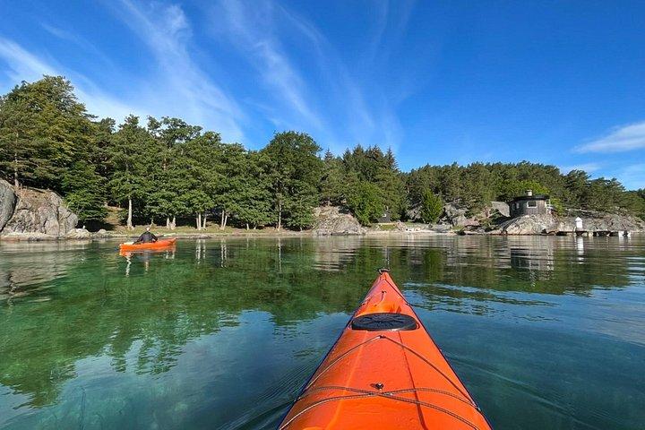 Lillesand Coastal Kayak Tour - Local Nature & Adventure