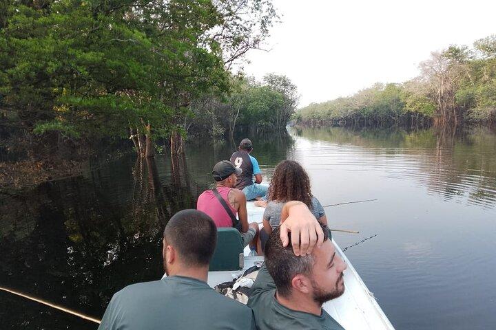 Tour 1D Anavilhanas Archipelago