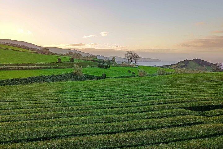 São Miguel: Private Tour All in One Highlights (customized)