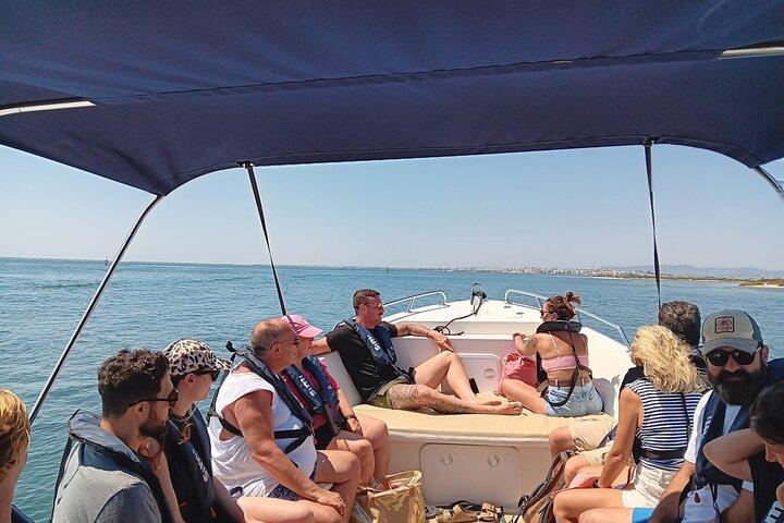 Tour dei delfini