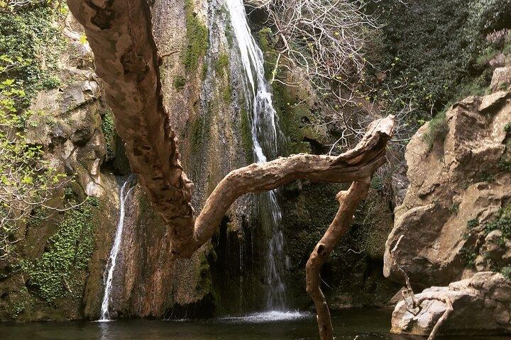 Richti Wasserfall, OliveTasting, Nordküste, Geschichte, Azoria,