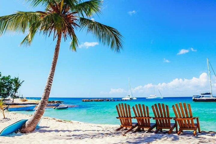 Miches Catamaran Båd til Saona Island med buffet frokost