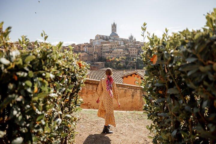 フィレンツェからピサ、サン・ジミニャーノ、シエナへのプライベート日帰り旅行