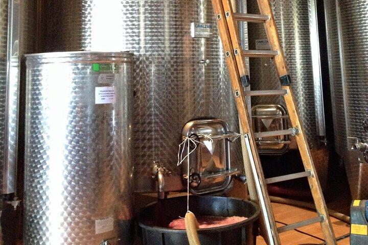 モンテプルチャーノ：ワイン ツアーとテイスティング