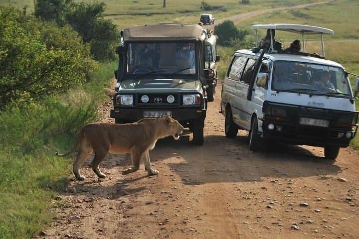 Half Day Tour To Nairobi National Park