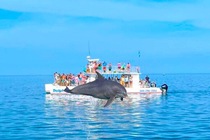 Key West Dolphin et plongée avec tuba