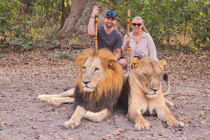 Safari eventyr på Fathala Wildlife Reserve i Senegal