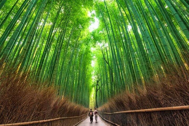 Kyoto : Arashiyama UNESCO Walking Tour med adgang