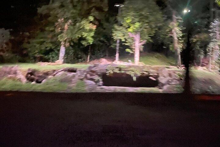 Billet d'entrée Singapour Night Safari avec Tramway Ride E-Ticket
