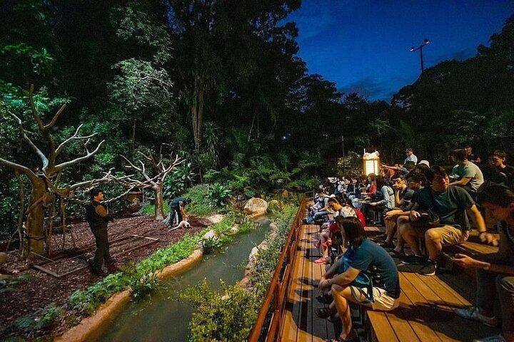 Billet d'entrée Singapour Night Safari avec Tramway Ride E-Ticket