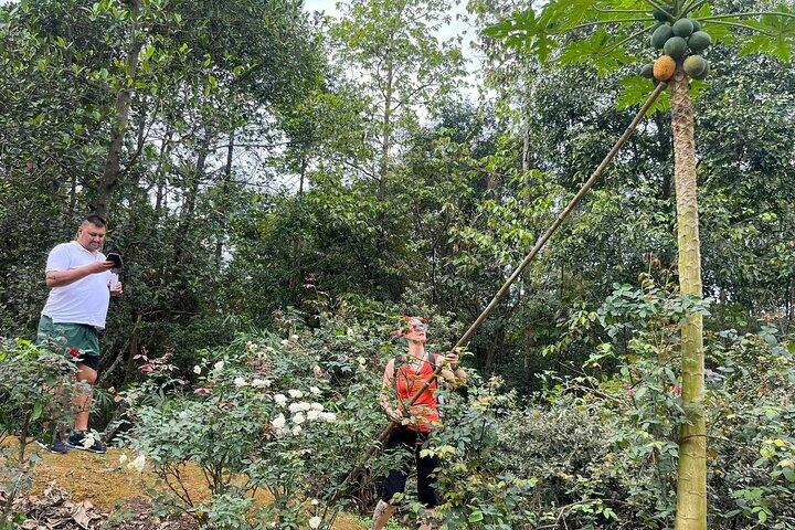 Hanoi: Explore a aldeia antiga de Duong Lam e a vida local com um jeep