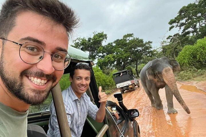 Yala Nationalpark Safari Tour vom Hafen Hambantota