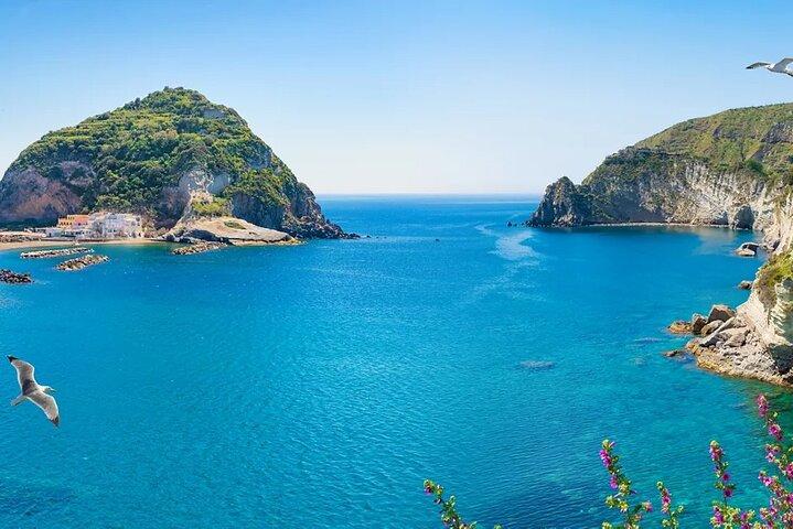 Da Roma Tour in Barca per Ischia e Procida e Punta Pennata