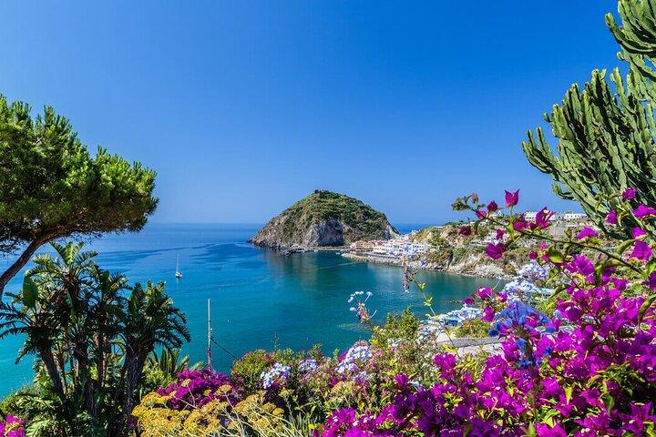 Da Roma Tour in Barca per Ischia e Procida e Punta Pennata