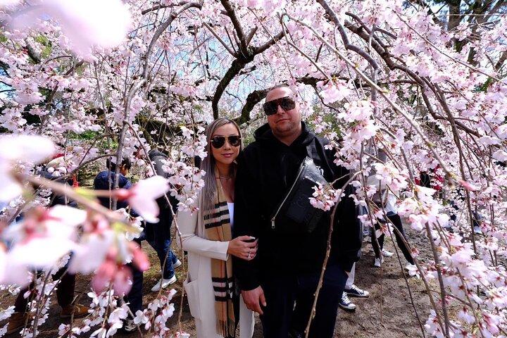 KYOTO Top Highlights & versteckte Edelsteine - Private Wanderung
