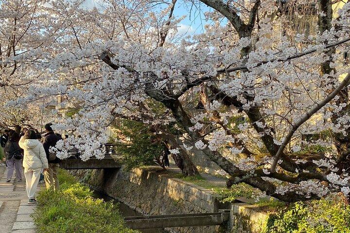 Kyoto Private & Customizable Tour with English-Speaking Driver