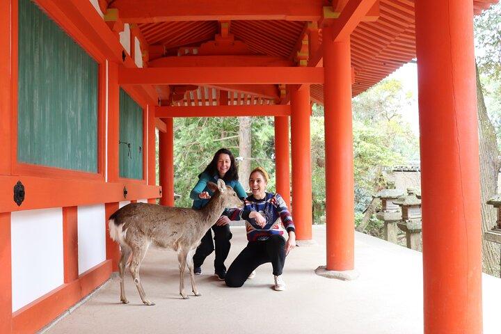 Private Nara Tour und Sake Tasting (Abfahrt von Kyoto/Nara)