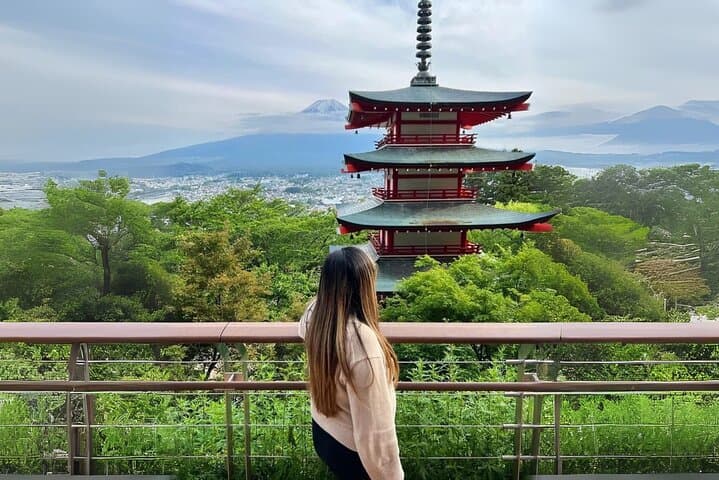 Mt fuji & Hakone customizable day tour w/ English speaking driver