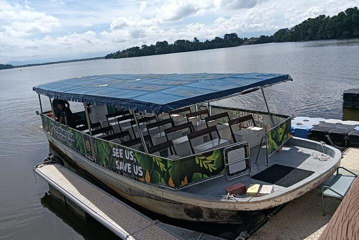 Orang Utan (Orang Utan) Insel Verantwortungsvoll erleben