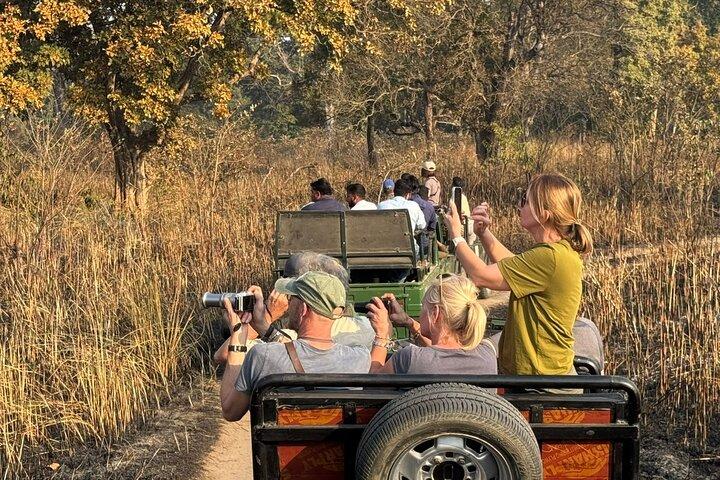 ピックアップ付きの3日間のチトワン国立公園ジャングルサファリツアーパッケージ