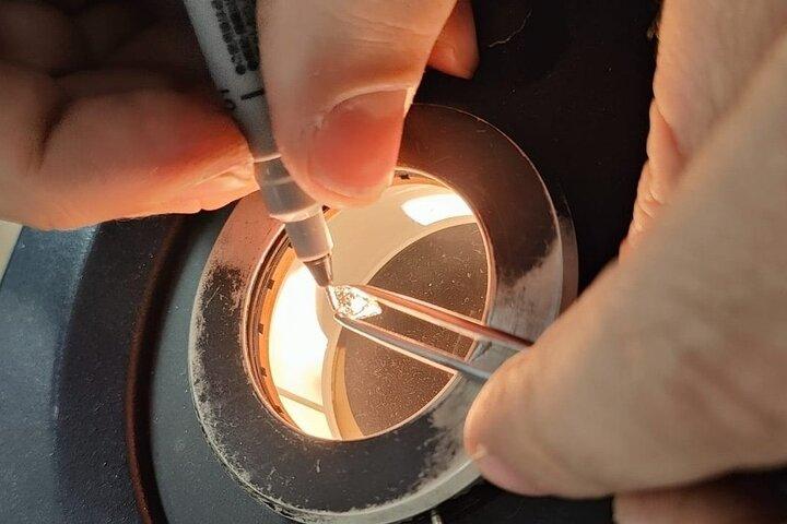 Exclusieve privétour in de Israel Diamond Exchange