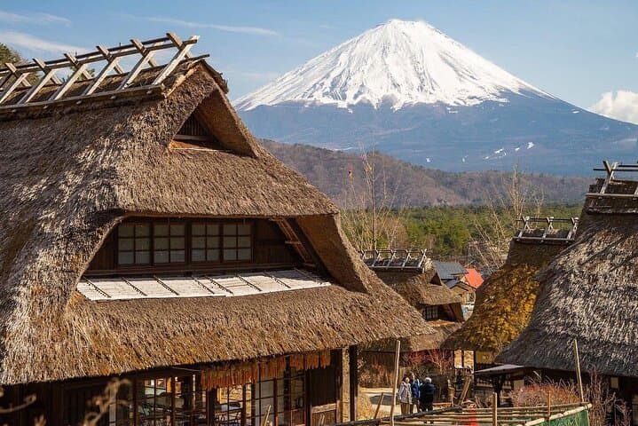 From Tokyo: Mt Fuji private 1 day customizable tour in English