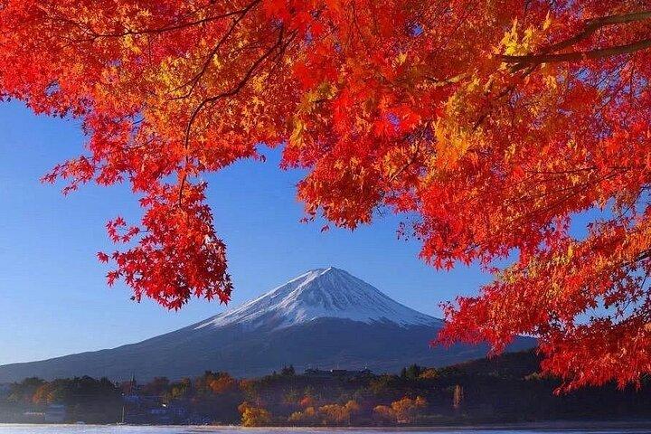 Tokyo Till Mt Fuji privat dag anpassningsbar tur på Engelska