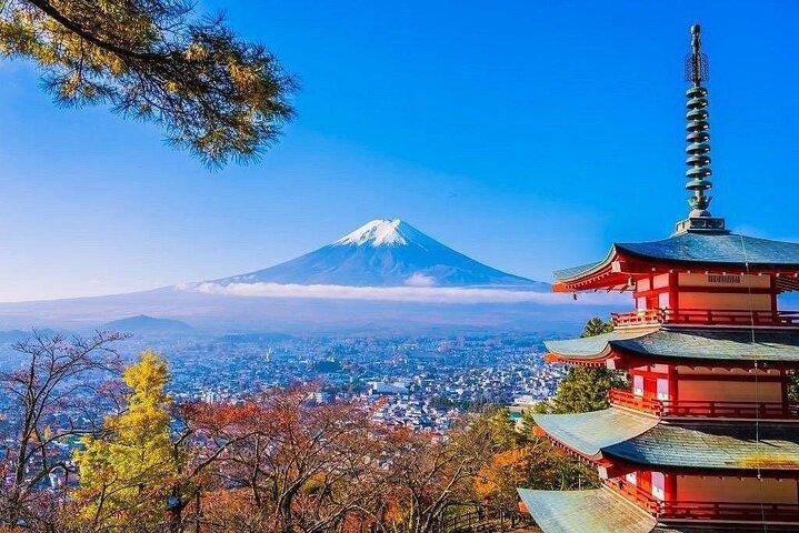 From Tokyo To Mt Fuji & Hakone day customizable tour