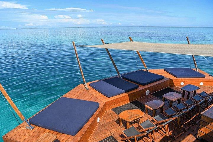 フィジー：クラウド9水上プラットフォームへの日帰り旅行（飲食を含む）