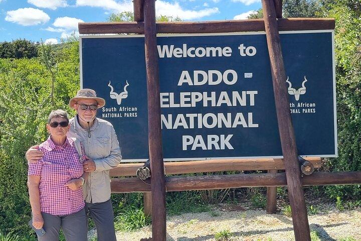 Safari privato di mezza giornata nel parco nazionale Addo Elephant