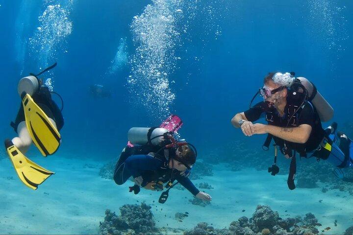 Marmaris Scuba Diving mit zwei Tauchgängen, Transfer und Mittagessen