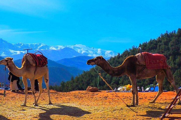 Marrakech: Atlas Mountains Day Trip, 3 Valleys and waterfall Tour